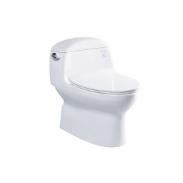 Bàn cầu một khối nắp êm