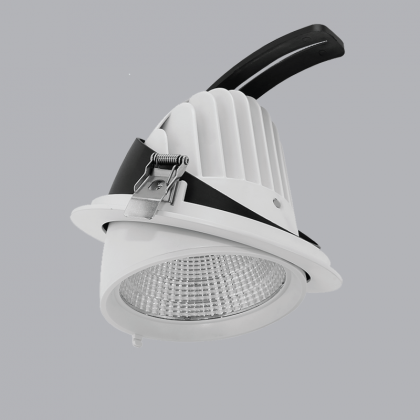 Đèn Led chiếu điểm điều chỉnh 50W