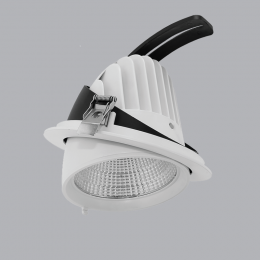 Đèn Led chiếu điểm điều chỉnh 12W