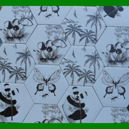 Gạch lục giác