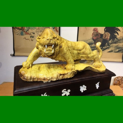 Hổ gầm