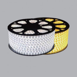Đèn Led dây Strip AC