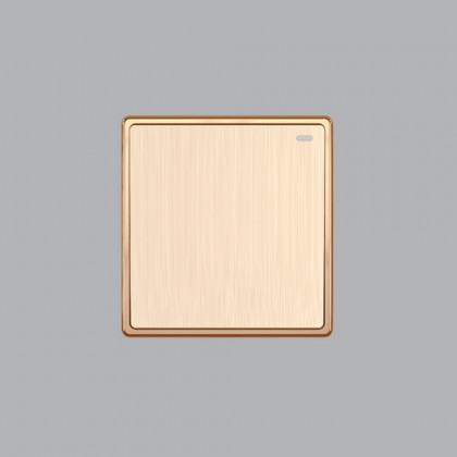 Mặt 1 công tắc 1 chiều 16A-250V
