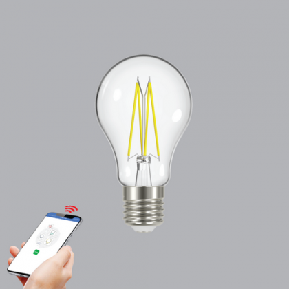 Đèn Led bulb Filament 6W