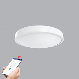 Ốp trần Ceiling 20w