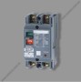 MCCB 2P - 100A