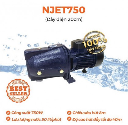 Máy bơm đầu Jet 750W