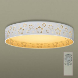 ĐÈN TRẦN LED DÀNH CHO PHÒNG KHÁCH 36W