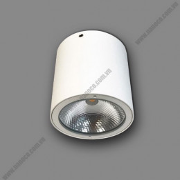Đèn Downlight trụ LED IP54 -7W vàng