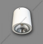 Đèn Downlight trụ LED IP54 -20W vàng