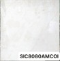 Gạch Polish